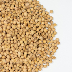 Pestka Wiśni, Oczyszczona Ekologiczna Świeża 1kg