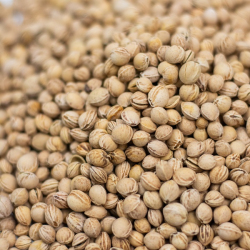 Pestka Wiśni, Oczyszczona Ekologiczna Świeża 1kg