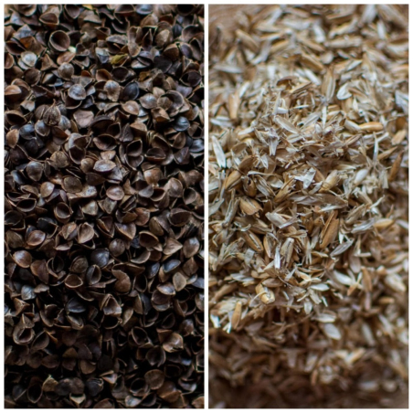 suszona gryka i orkisz